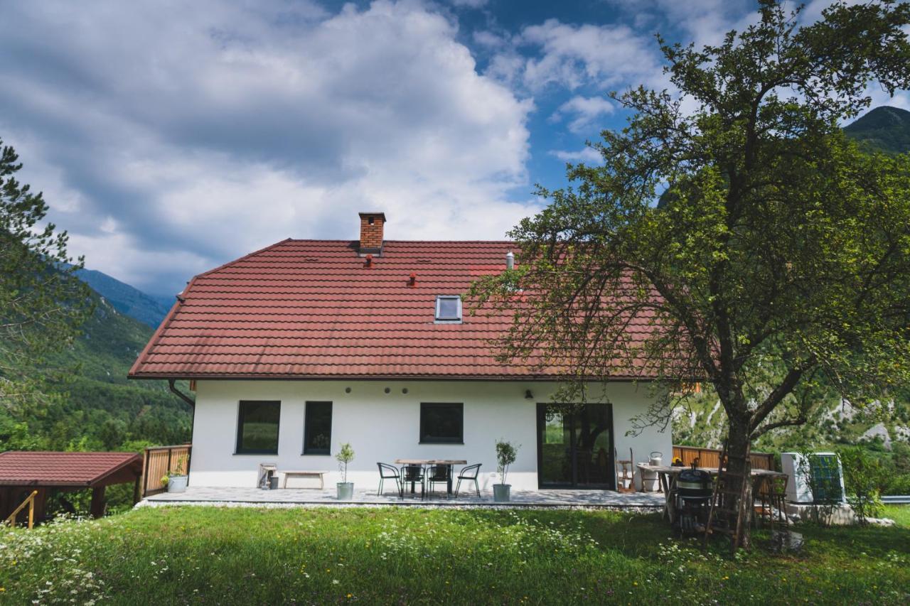 Hisa Lojz Apartment Zaga Luaran gambar